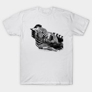 Zebra T-Shirt